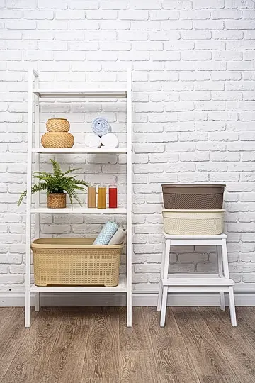 Get a Ladder Shelf for Extra Storage